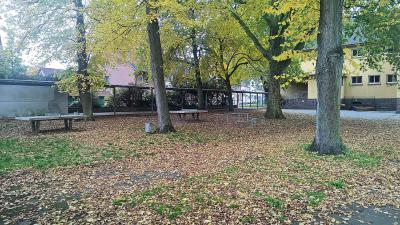Sieben wertvolle alte Bäume müssen weichen, wenn die AWO ihr Verwaltungsgebäude an der ehemaligen Montessori-Schule baut Foto: nno.de