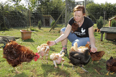 Barbara Blass mit den „geretteten“ und ihren eigenen Hühnern in ihrem Freilaufgehege in Bönning-Rill. NN-Foto: Theo Leie