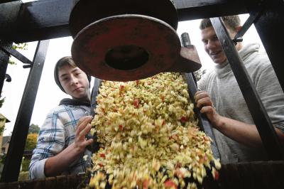 Nicht fehlen darf die Apfelpresse auf dem Ponter Herbst- und Kartoffelmarkt. Der frische Apfelsaft findet alljählich reißenden Absatz. NN-Fotos: Archiv Seybert