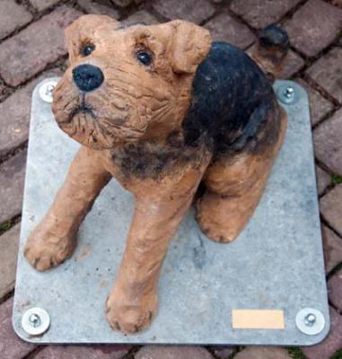 Zum Stadtfest erhält der kleine Hund „Auwi“ offiziell seinen Namen. Foto: privat