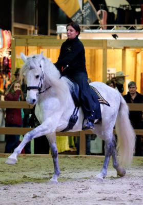 Ob Dressur, Springreiten, Voltigieren oder Quadrillen - auf den Aktionsflächen wird Pferdesport in Perfektion geboten. Foto: privat