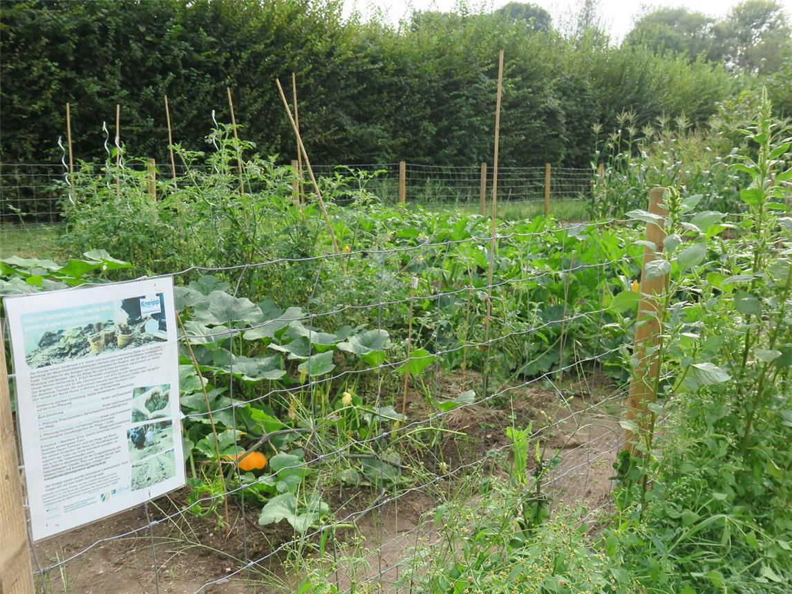  „Anzucht im Gewächshaus“ ist das Thema. Foto: Kneipp