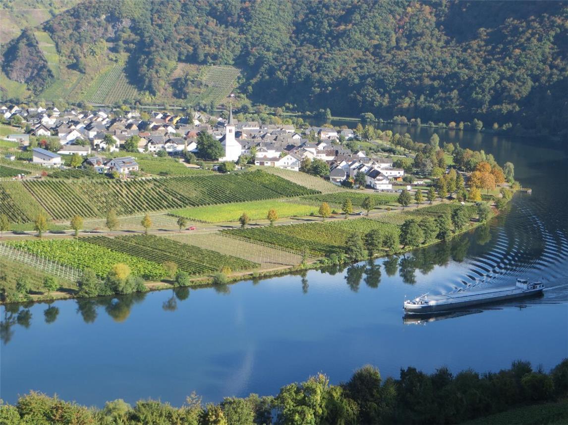  Das Foto zeigt die Moselschleife bei Minheim.Foto: privat