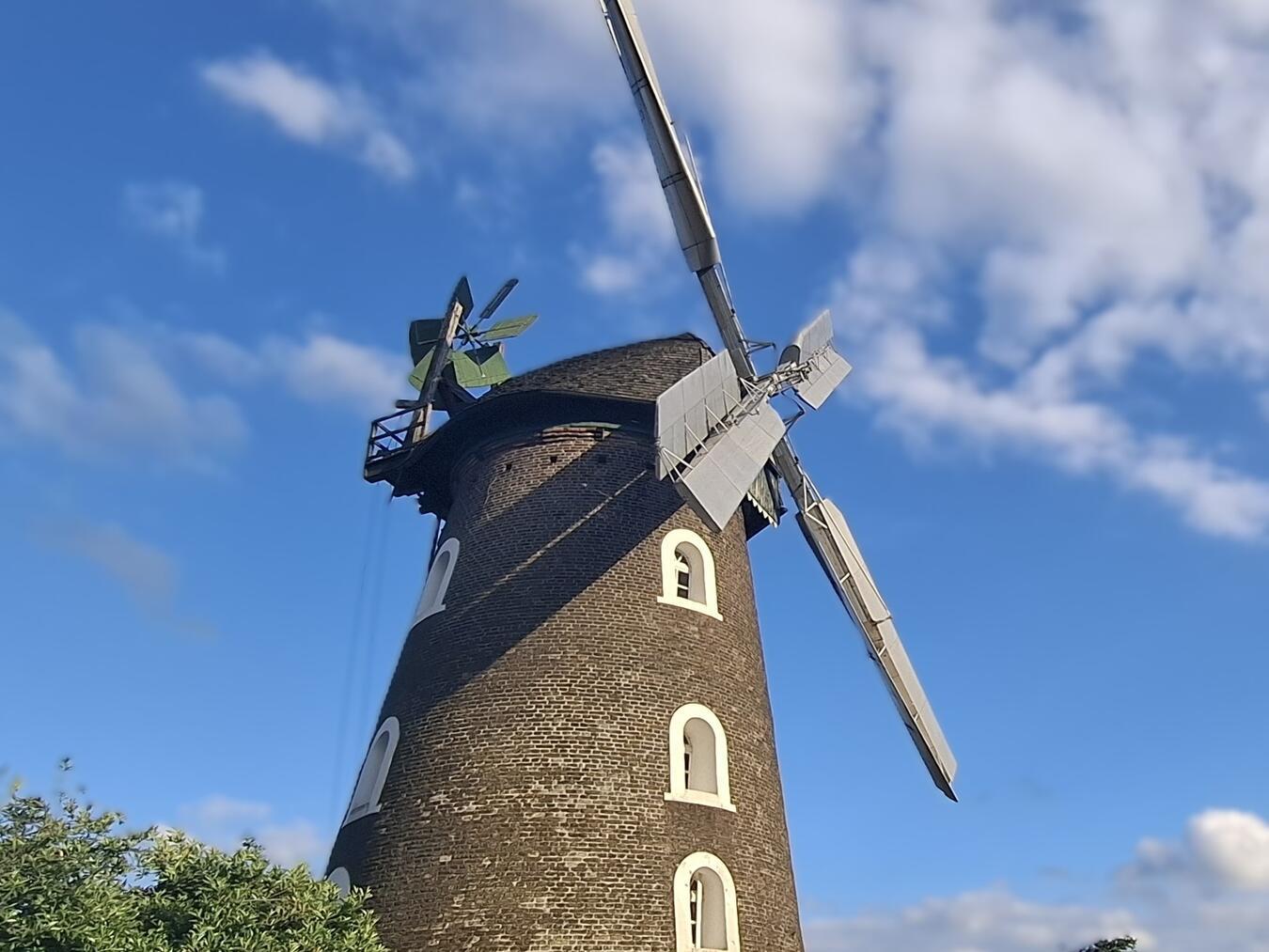 1848 erbaut, wurden 1937 die Ventikanten-Flügel an der Scholten-Mühle in Rees gebracht. Foto: Michael Scholten