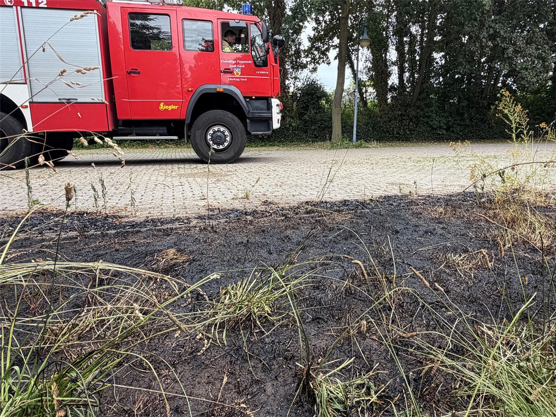 "Abgelöschter Flächenbrand am Kastell, Feuerlöscharbeiten, Naturkatastrophe, Foto von Torsten Matenaers"