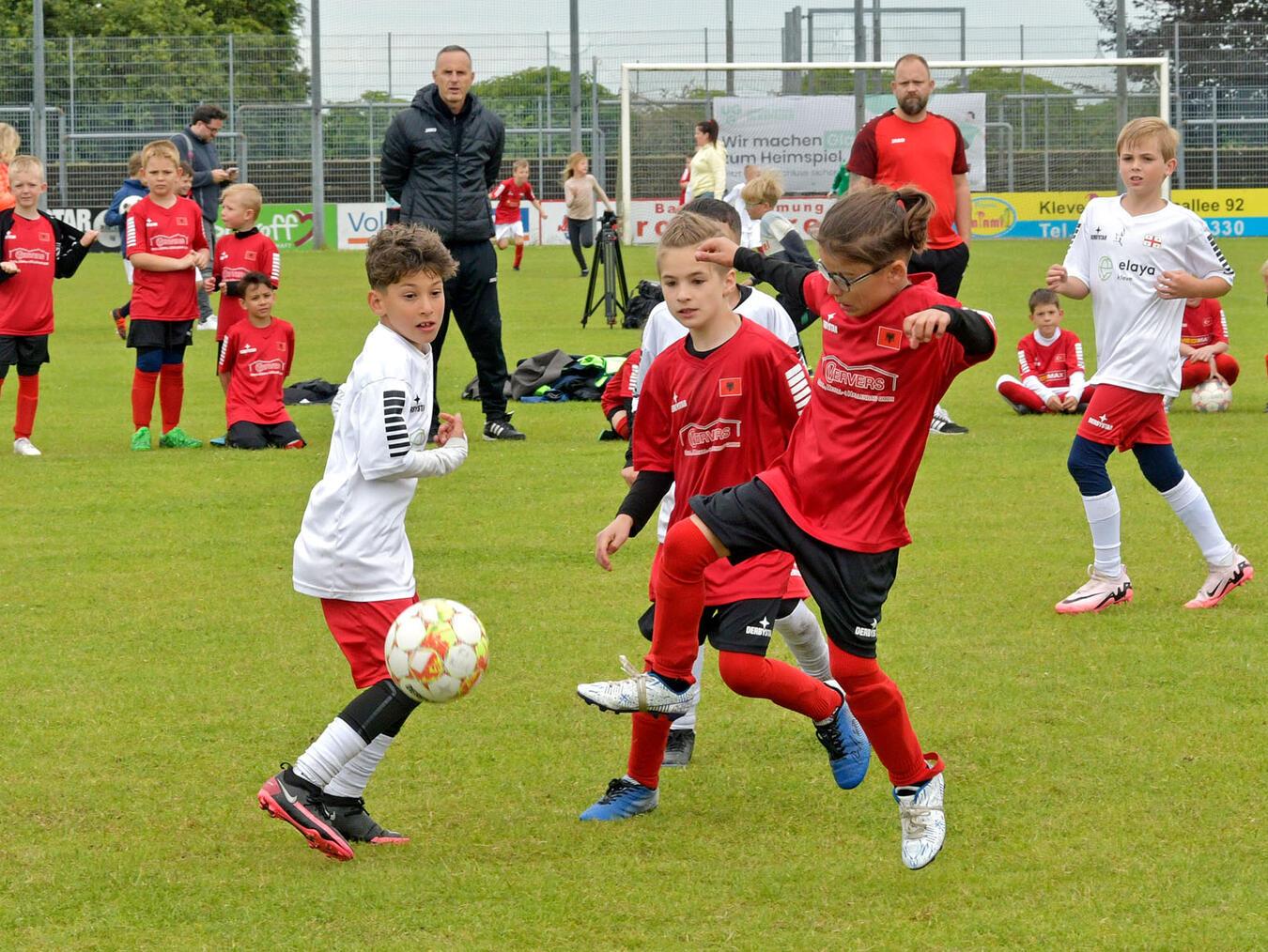 Albanien (in rot) zeigte sich als würdiger Finalist.