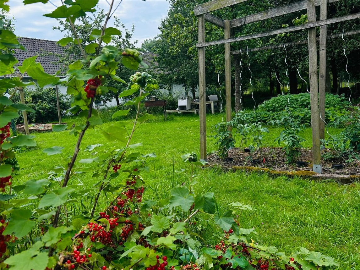 "Selbstversorgergarten am Loosenhof, Besucher erkunden nachhaltige Anbaufläche"