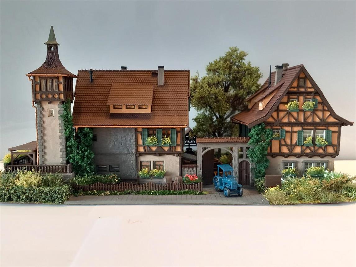 Alle Maßstäbe und Gleissysteme sind beim Stammtisch in wechselnder Zusammenstellung vertreten. Foto: MSN