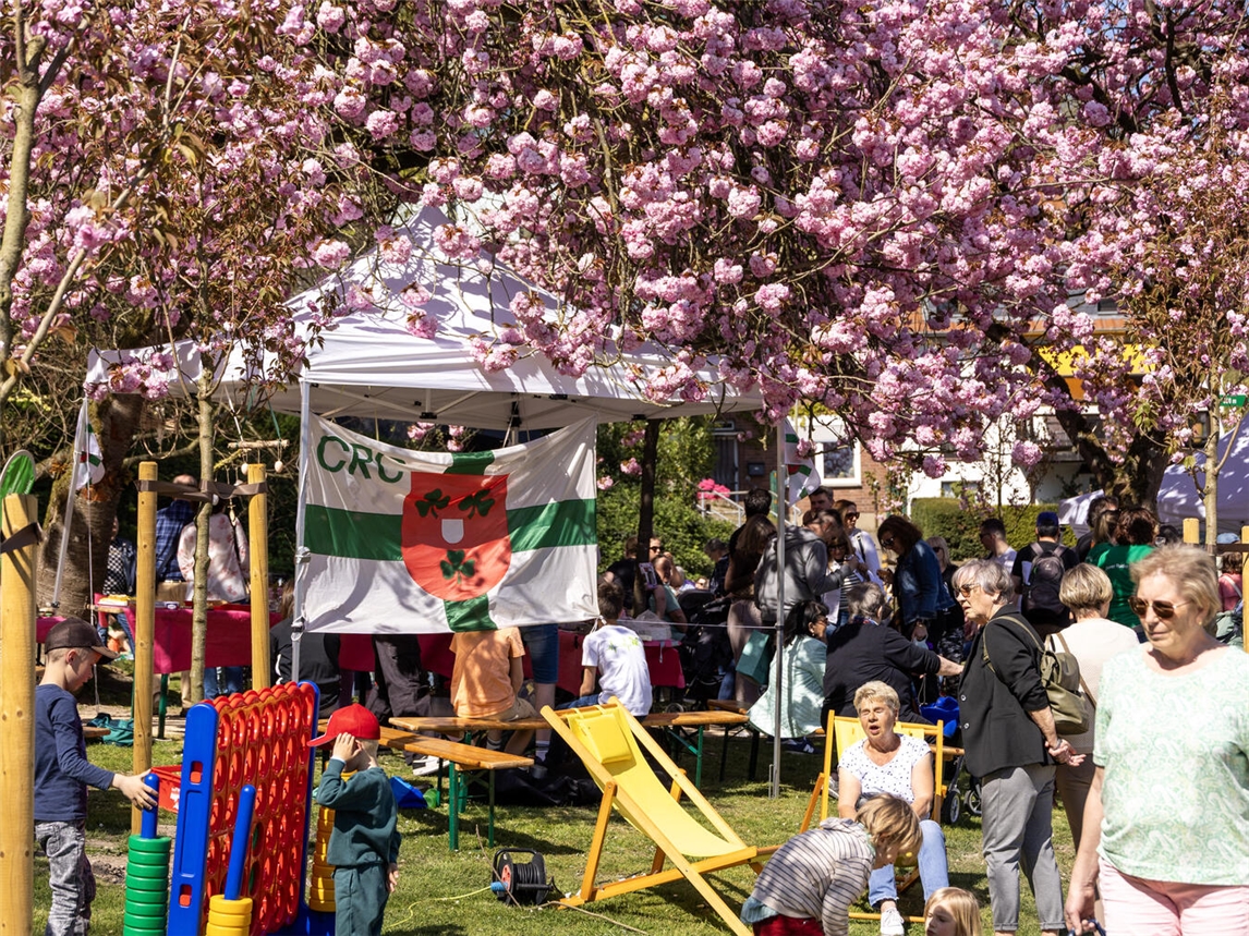 Am 11. April findet wieder das Kirschblütenfest statt. Foto: WTM