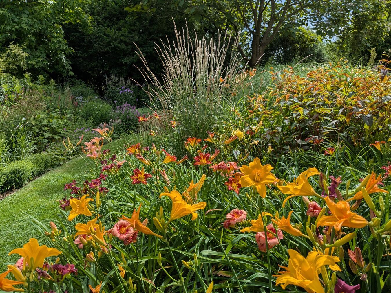 Am 13. Juli hat der Garten Hakenbeck geöffnet. Foto: Kerstin Hakenbeck