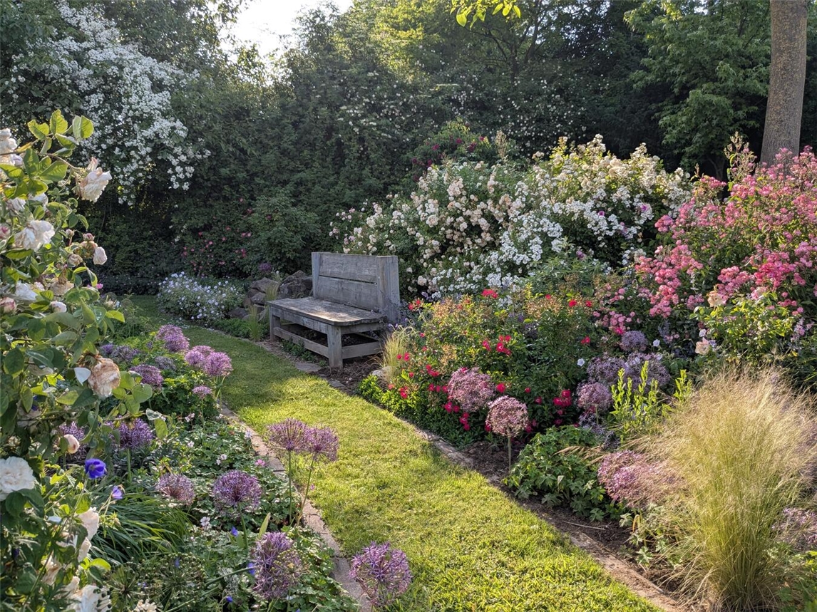 "Blühender Garten Hakenbeck am 14. Juni, Foto von Kerstin Hakenbeck, Gartentag-Event"