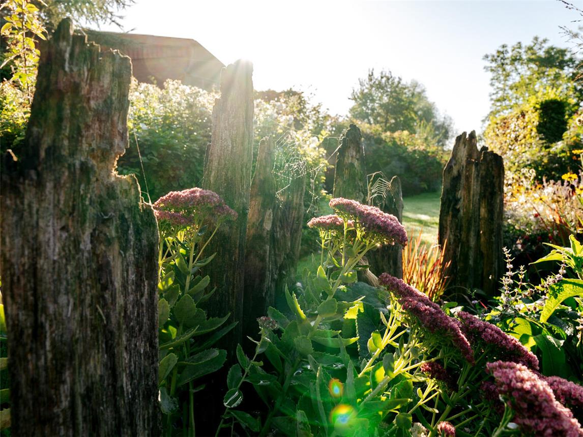 Am 7. September sind Besucher im Bauerngarten Deymannshof in Rees willkommen. Foto: Gisela Hünnekes