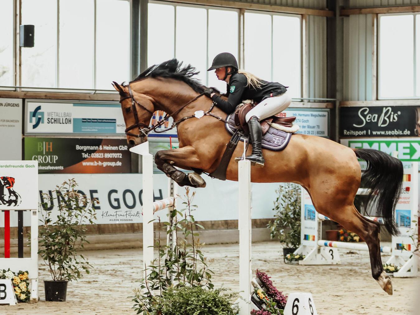 Am Freitag, 28. März, fällt der Startschuss für das Springevent.Foto: kleinefeinefotowelt