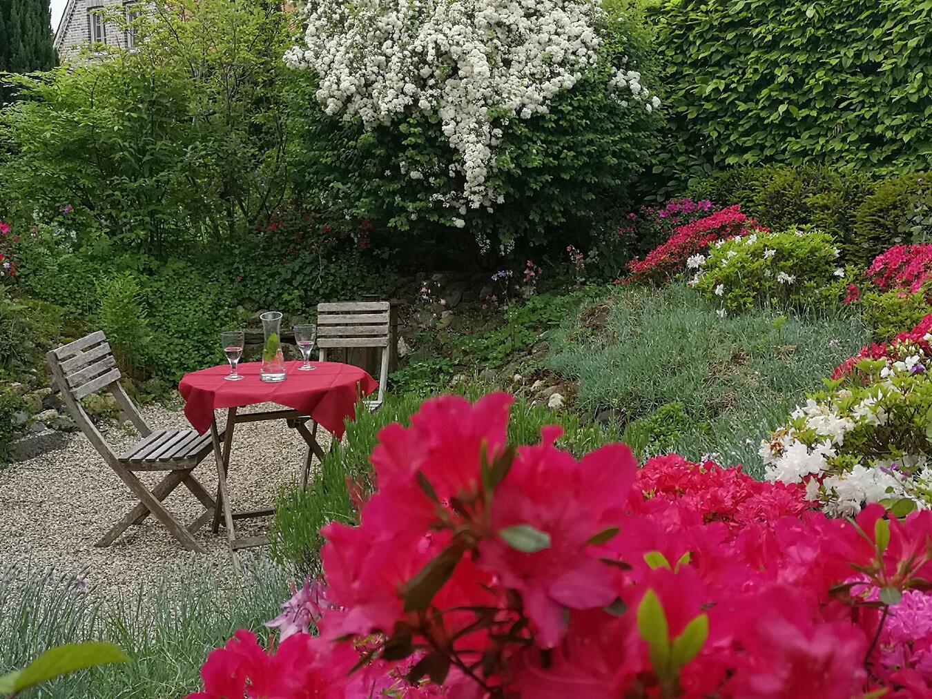 Am morgigen Sonntag, 12. Mai, ist das gARTen Atelier an der Maasstraße 12 von 11 bis 18 Uhr geöffnet. Und wer Paprika, Tomaten, Physalis oder Brombeere als Jungpflanzen braucht – einige sind noch zu haben. Nicole Peters und ihr Mann Waldemar Kowalewski freuen sich auf einen Austausch. Natürlich kann man auch einfach nur die vielen kleinen Sitzecken im Garten mit einem Kaffee genießen. Foto: Nicole Peters