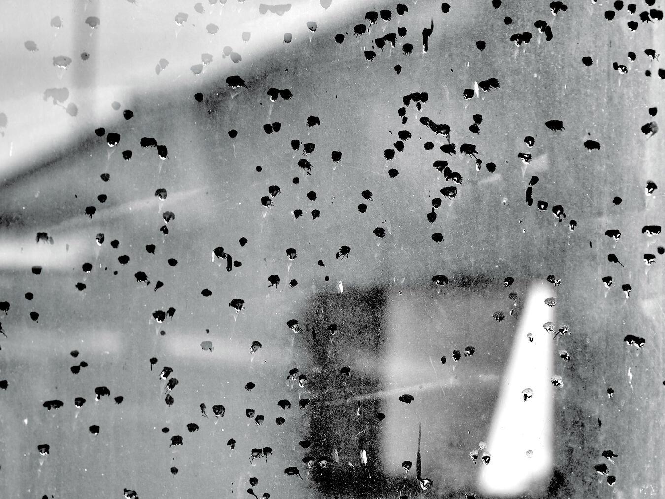 Am Sonntag eröffnet im Städtischen Museum eine Ausstellung mit Fotografien von Thomas Wunsch. Foto: Thomas Wunsch