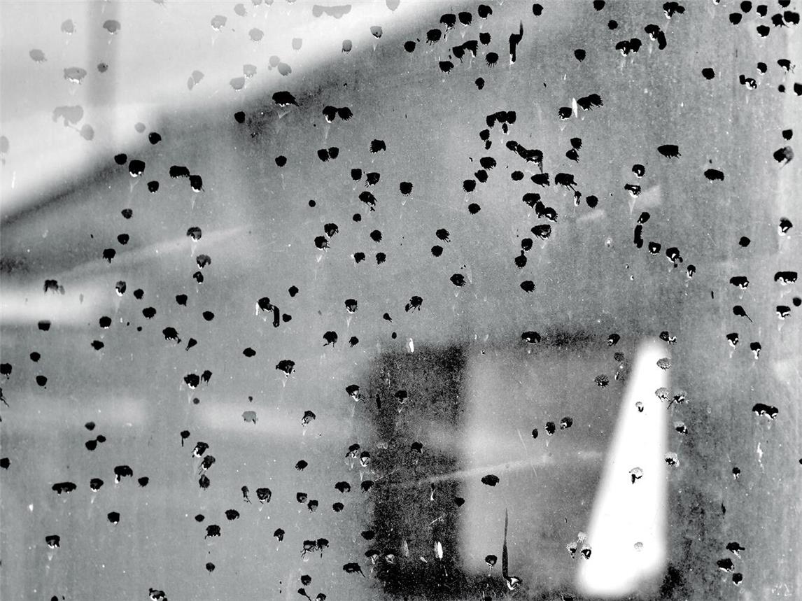 Am Sonntag eröffnet im Städtischen Museum eine Ausstellung mit Fotografien von Thomas Wunsch. Foto: Thomas Wunsch