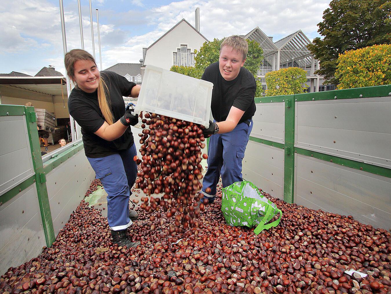 Am Sonntag können Kastanian wieder gegen Äpfel getauscht werden. NN-Foto (Archiv): Theo Leie