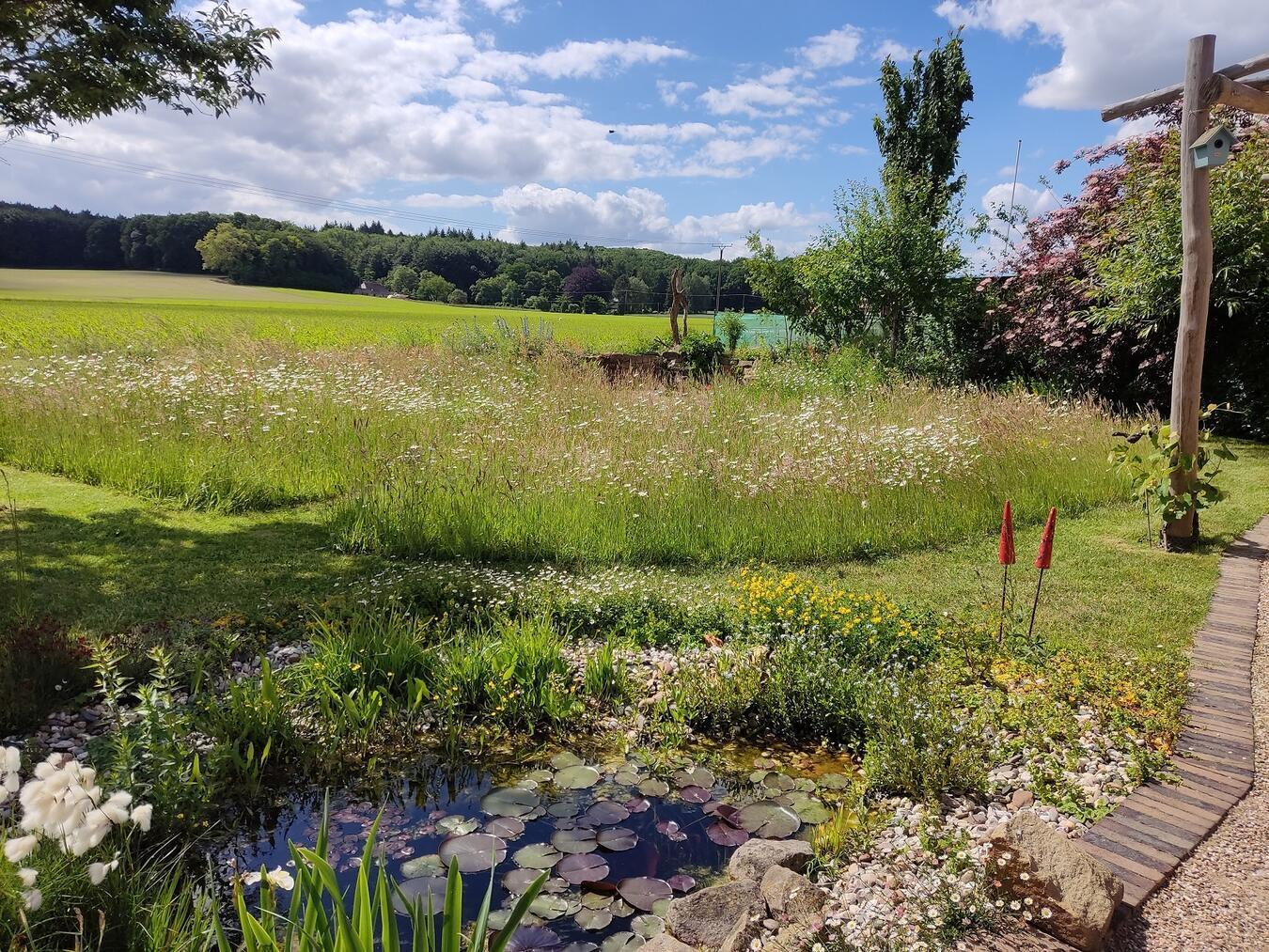 An den kleinen Wasserteich grenzt direkt die Wildblumenwiese. Fotos (3): Jutta Block