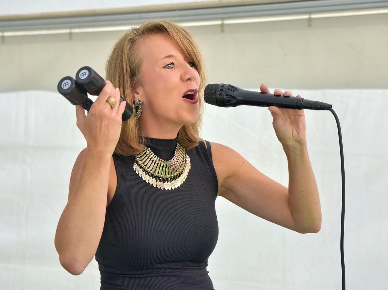 Tierische Sommerabende und eine Charity-Gala "Maya Kehren spielt Musik live, diverse Genres, Abendunterhaltung"