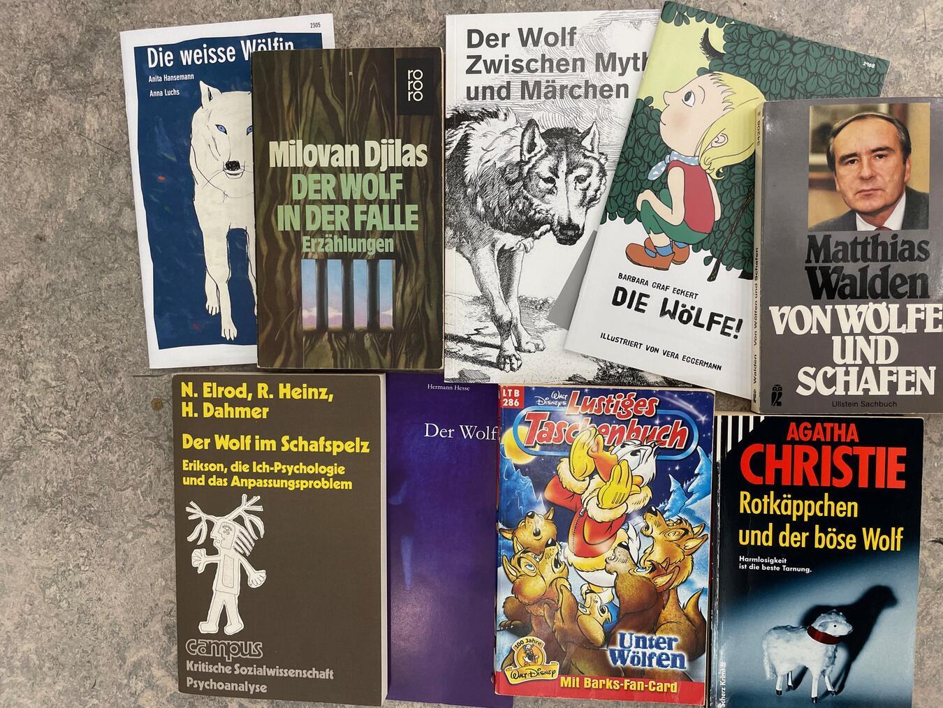 An die 100 Bücher hat Harald Münzner, der diese besondere temporäre Bibliothek einrichtet, bereits zusammengetragen. Foto: Harald Münzner