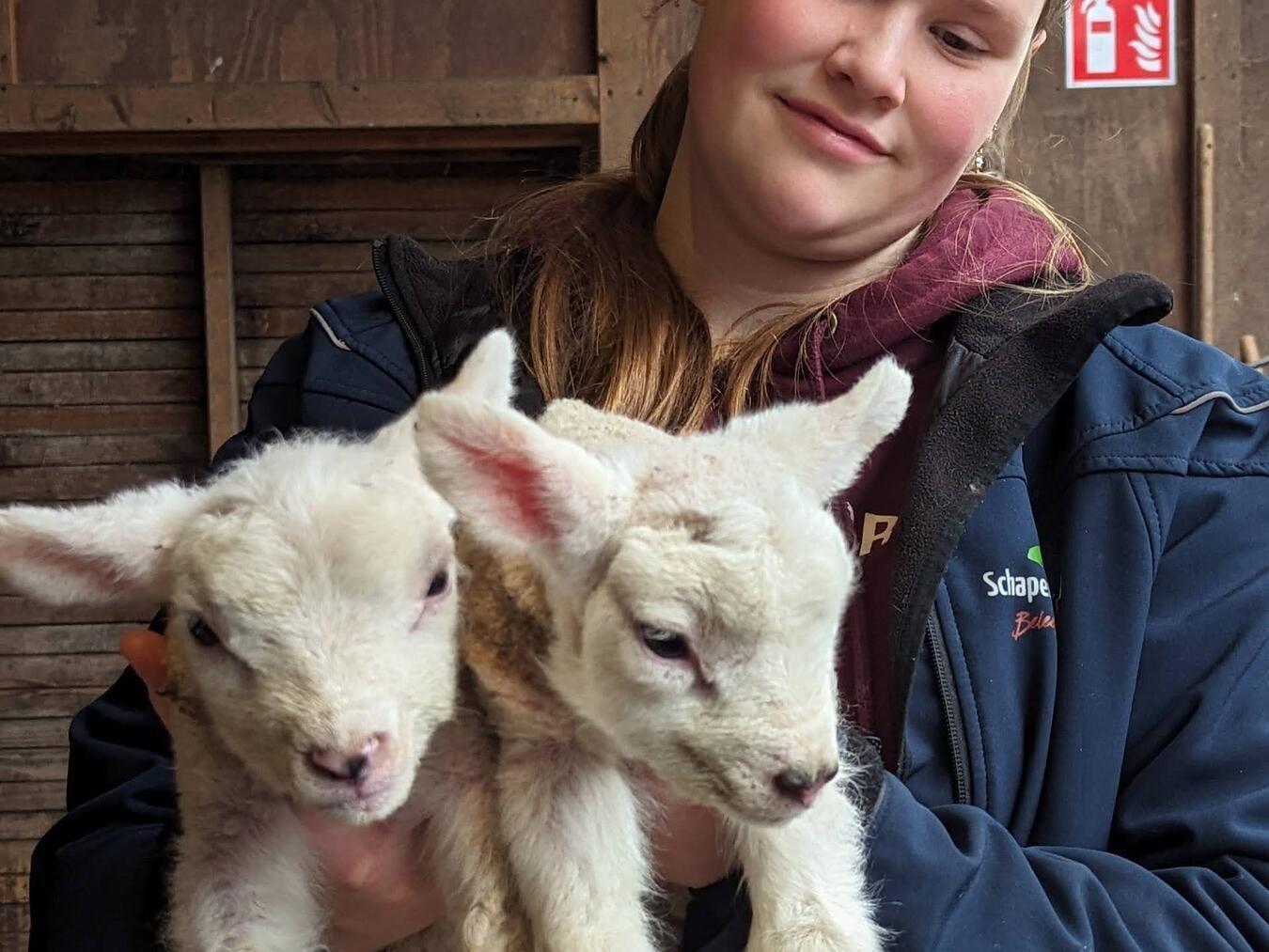 An niedlichen Schafen kommt man auf Texel nicht vorbei und auch der Leuchtturm lässt sich kaum übersehen. Spannend wird es in jedem Fall im „Flora“ mit einer kunterbunten Sammlung von Gegenständen, die in den letzten 75 Jahren am Strand angespült wurden. 