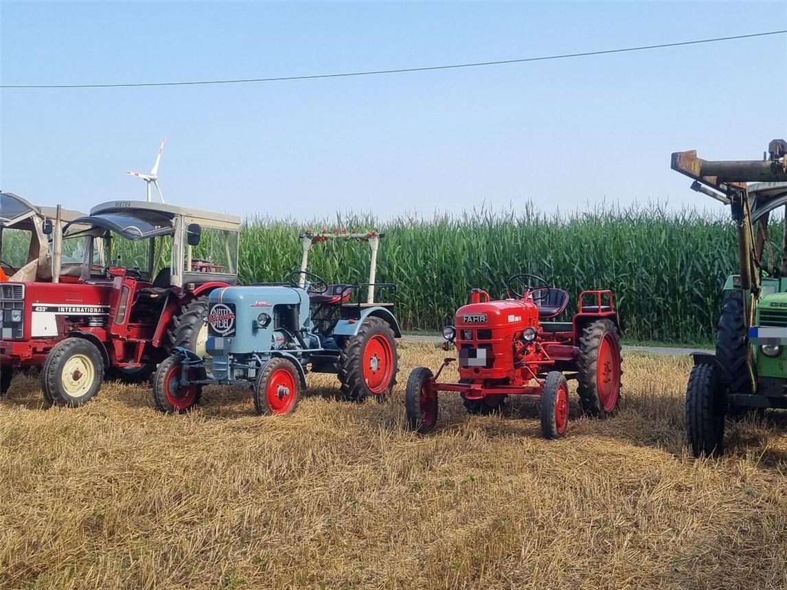 "Oldtimer-Landmaschinen bei Treckerfreunde Wachtendonk-Wankum Event Anfang August"