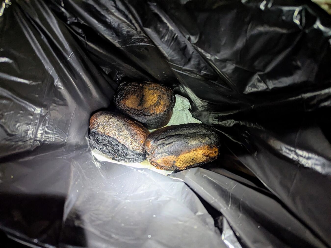 Angebrannte Brötchen aus der Mikrowelle - Ursache der starken Rauchentwicklung in der Wohnung. Foto: Feuerwehr Bedburg-Hau