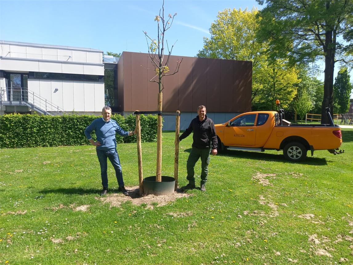 Anlässlich des Tag des Baumes 2025 wurde eine Rot-Eiche am Hallenbad gepflanzt. V.l.: Sébastien Belleil von der Stadtplanung und André Elbers vom Betriebshof. Foto: Wallfahrtsstadt Kevelaer