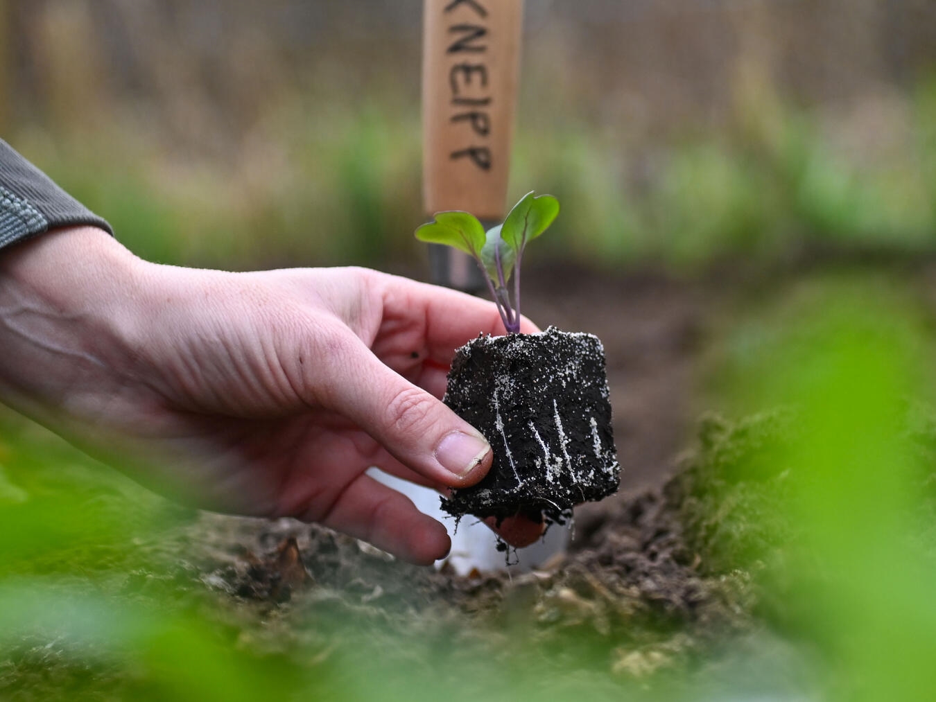 Anmeldungen zu den Workshops sind noch kurzfristig möglich. Foto: Norbert Prümen