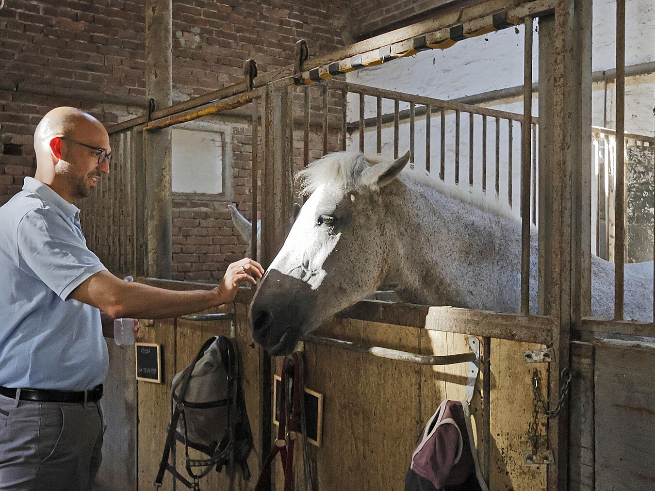 Auch Alpens Bürgermeister Ludger Staymann schaute einmal bei den Pferden vorbei. NN-Foto: Theo Leie