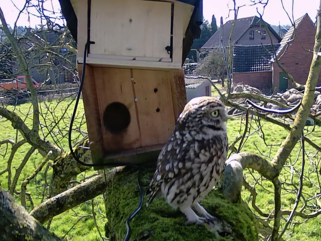 Auch der NABU im Kreis Wesel hat schon Unterstützung bekommen. Fotos: LEADER