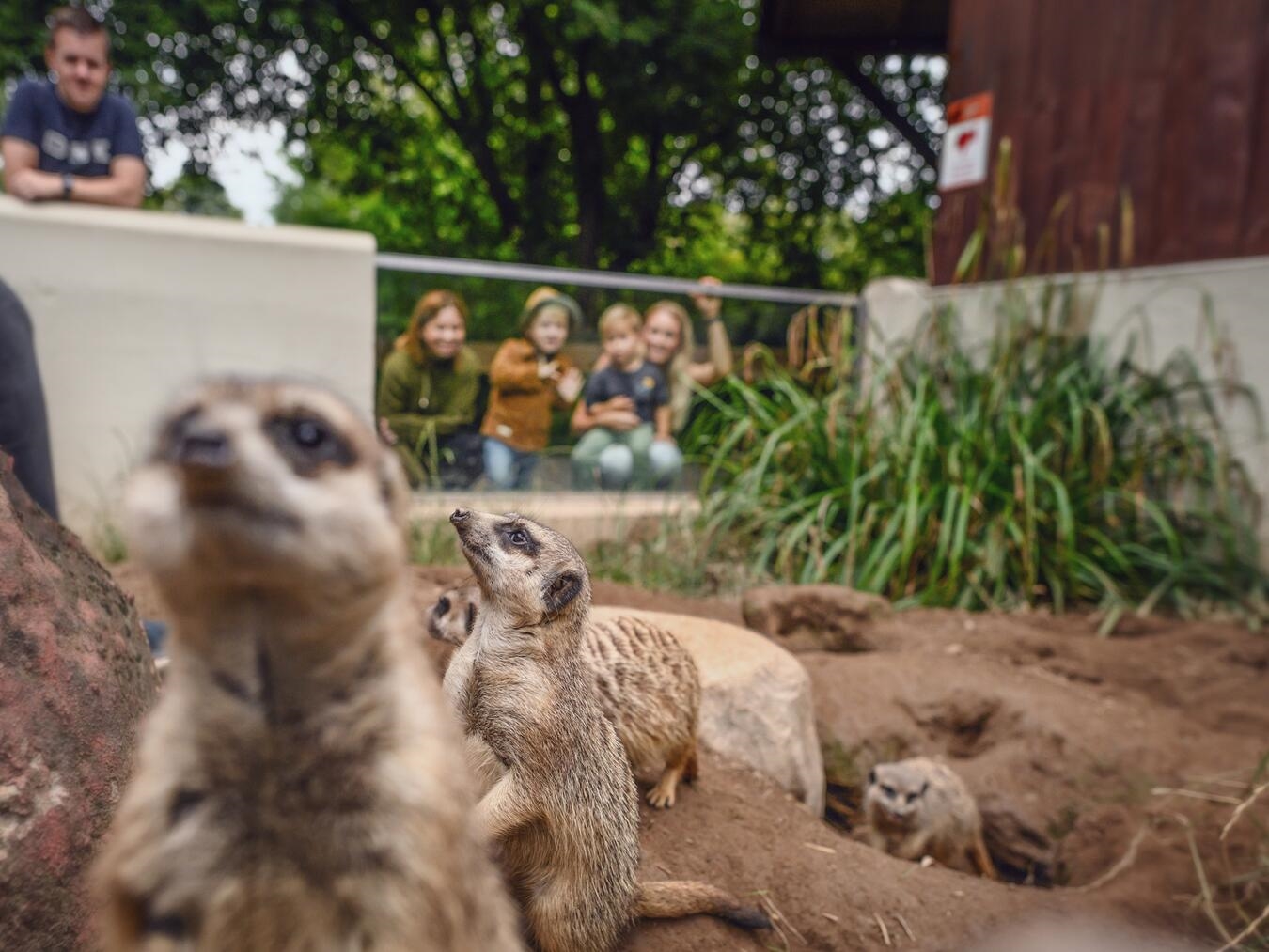 "Tiergarten Kleve dank Unterstützer: Erfolgreiche Projekte im Zoo, Foto von Förderern ermöglicht, Natur und Tiere erleben"