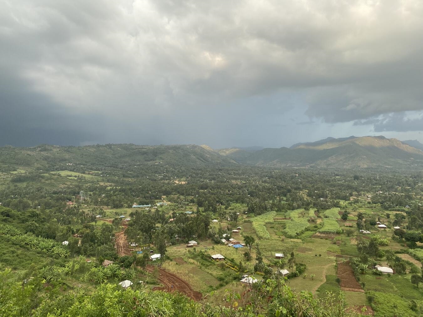Auch die üppige Natur hat Sovana begeistert. Foto: privat