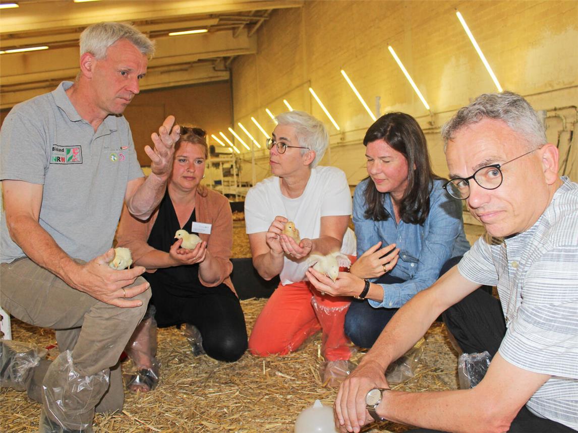 Auch ein Abstecher in den Kükenstall gehörte zum Besuch dazu. Mit dabei waren (v.l.) Jens Bodden, Inga Günther, Dr. Ophelia Nick, Ulle Schauws und Dr. Volkhard Wille. NN-Foto: Thomas Langer