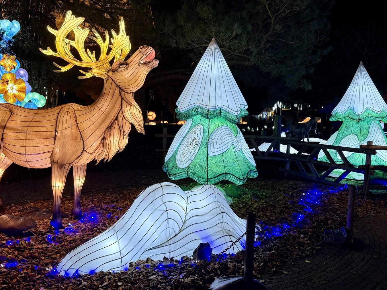 Auch ein leuchtender Hirsch ist in Kalkar zu sehen. NN-Foto: SP