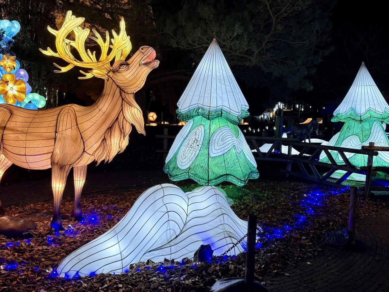 Auch ein leuchtender Hirsch ist in Kalkar zu sehen. NN-Foto: SP