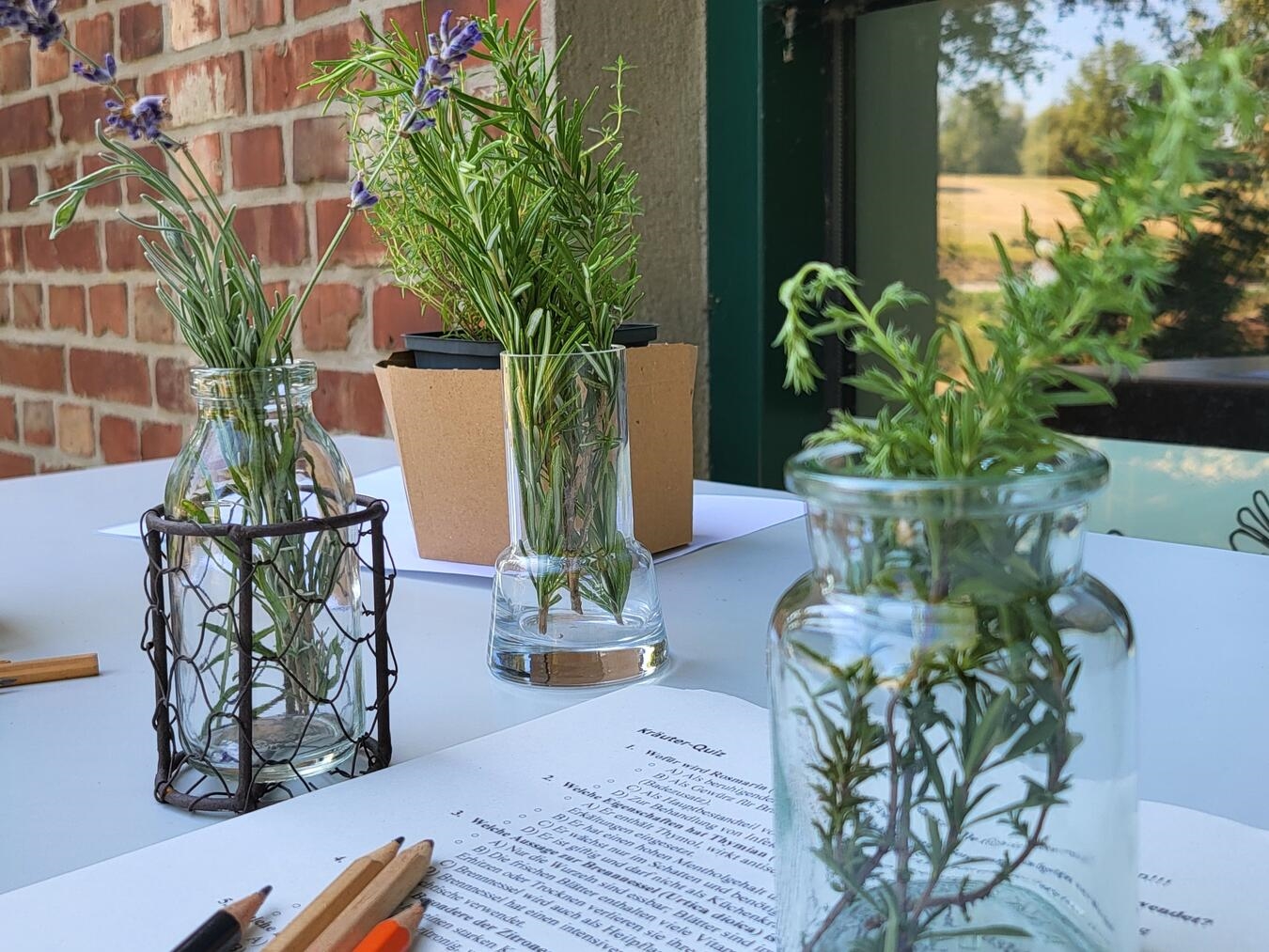 "Quiz zu Garten- und Heilkräutern, Teilnehmer beim Lösen, Naturwissen, Pflanzenkunde, Gartenpflege"