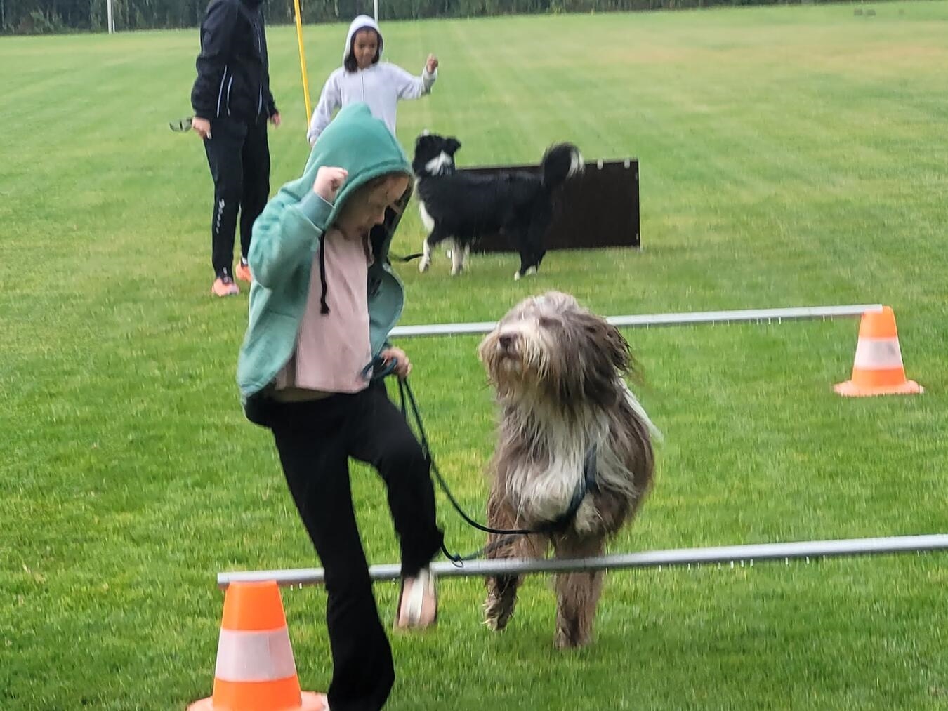 Auch einen Hunde-Parcours gab es zu bewältigen. Foto: privat