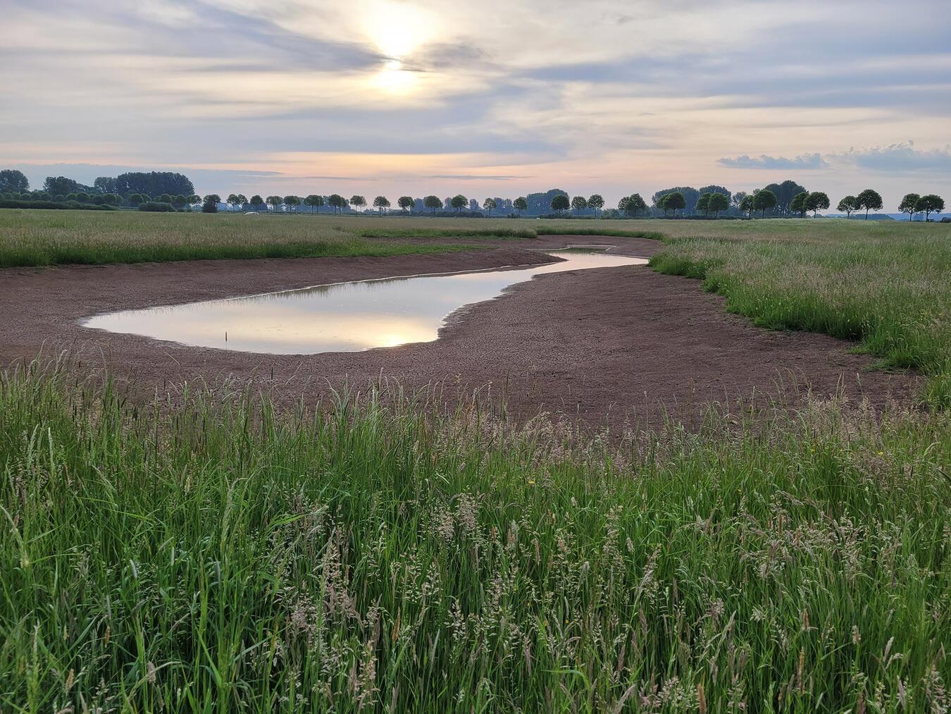 Auch in der Düffel ist der Grundwasserstand immer wieder Thema. Foto: NABU
