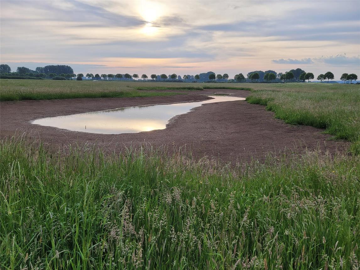 Auch in der Düffel ist der Grundwasserstand immer wieder Thema. Foto: NABU