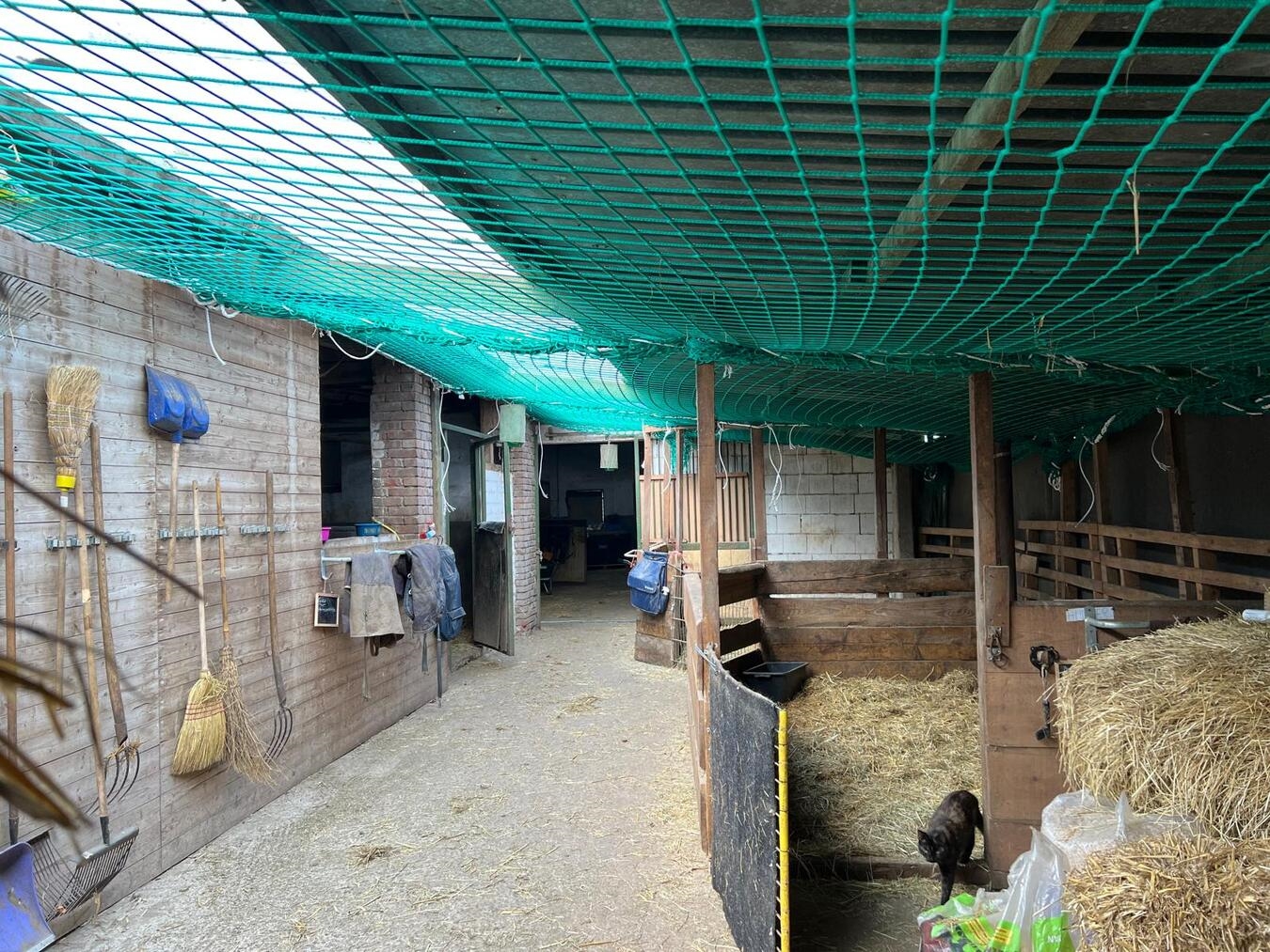 Auch Sicherheitsnetze im Inneren der Scheune wurden angebracht. Foto: privat