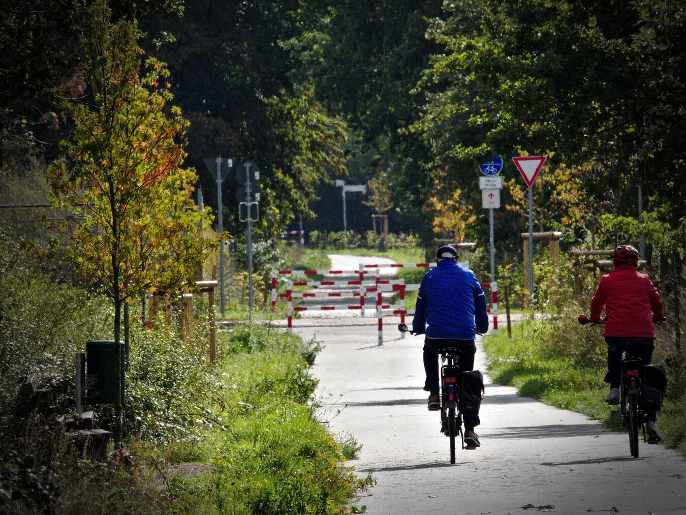Auf dem Alleenradweg bei Kalkar in Richtung Appeldorn sind regelmäßig Radfahrer unterwegs. Foto: Kurt Michelis