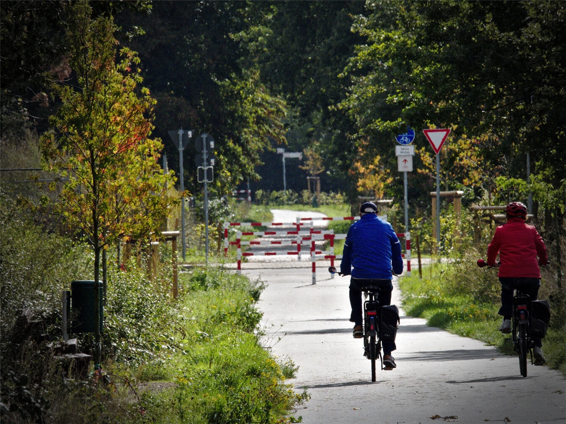 Auf dem Alleenradweg bei Kalkar in Richtung Appeldorn sind regelmäßig Radfahrer unterwegs. Foto: Kurt Michelis