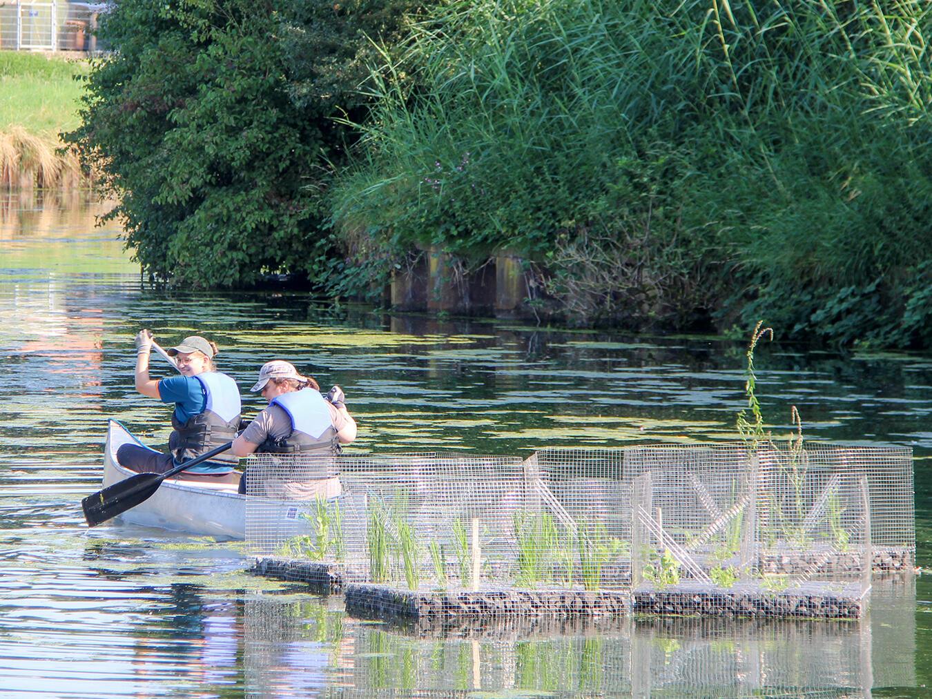 Auf dem Kanal unterwegs: Helen Hilgenfeld, FÖJ-Freiwillige, und Lena Wiest, Naturschutzreferentin, beim Ausbringen der schwimmenden Inseln mit dem Kanu. Foto: Nabu-Naturschutzstation Niederrhein