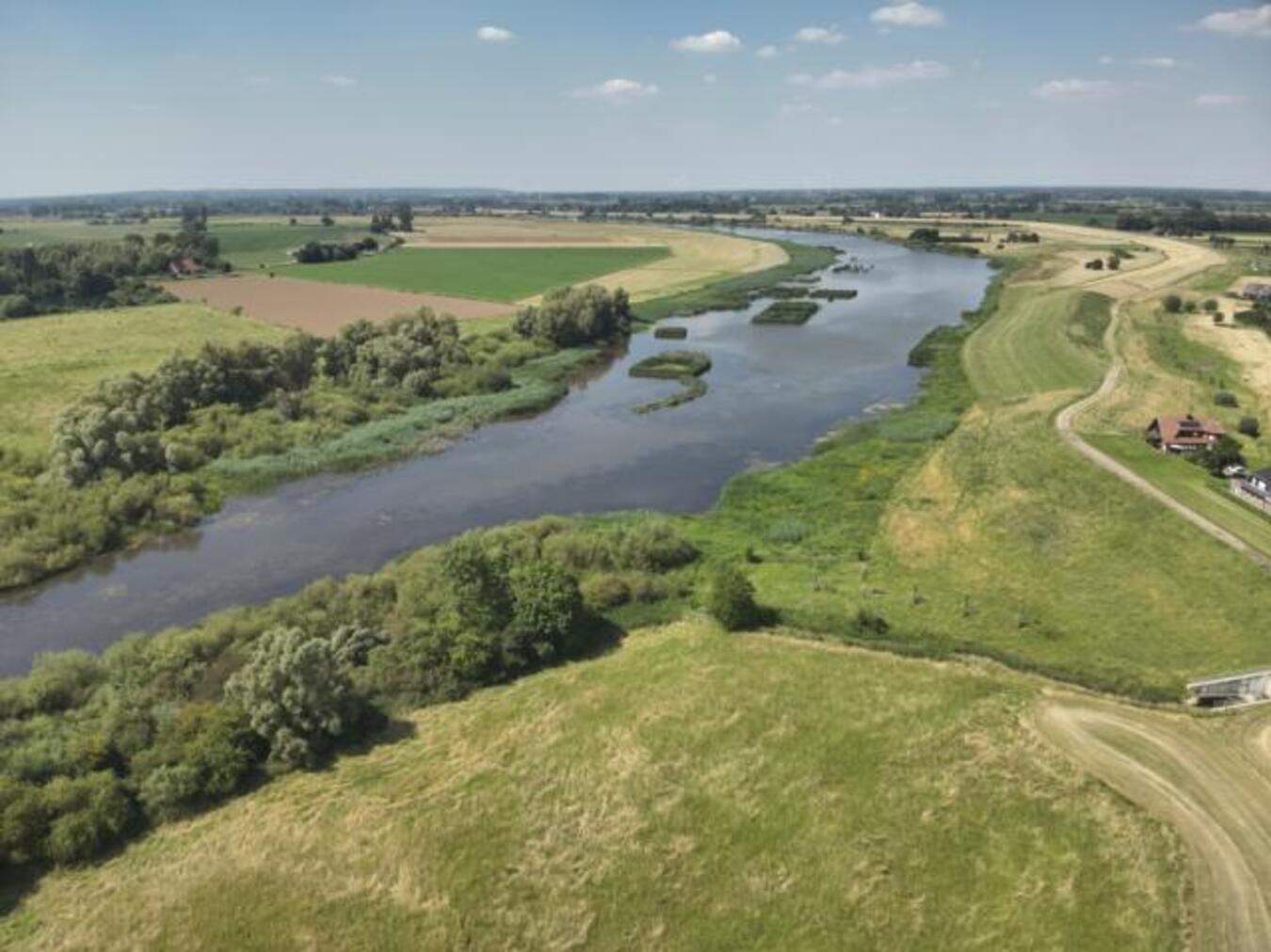 Luftbild Bienener Altrhein mit üppigen Röhrichtanpflanzungen, Naturschutzgebiet, Feuchtgebiet-Ökosystem, Biodiversität.
