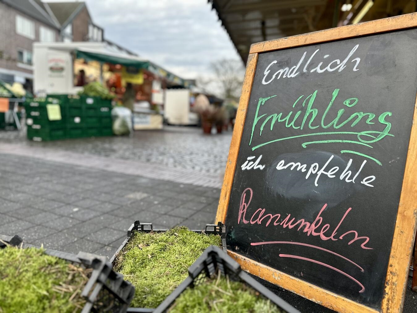 Wochenmarkt Frühling Natur