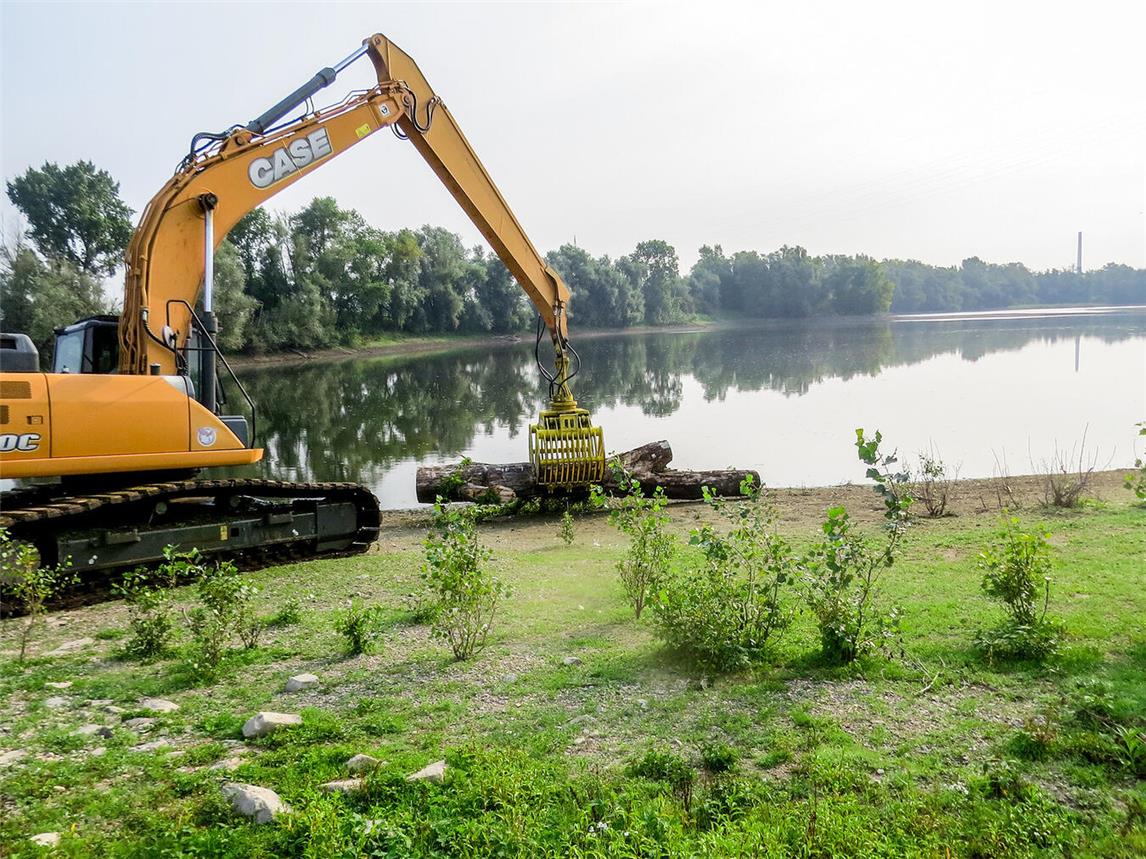 Ausbringen von Totholz in der Emmericher Ward mit schwerem Gerät. Foto: Nabu
