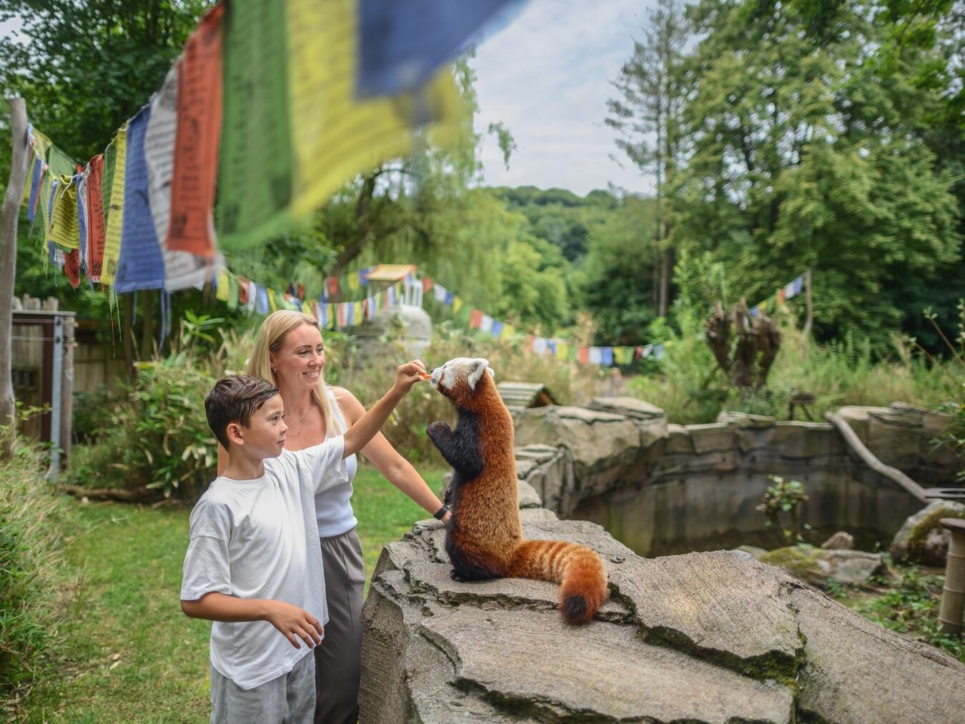 Bei den zoopädagogischen Angeboten konnten 2025 so viele Gäste wie noch nie im Klever Tiergarten begeistert werden. Foto: Markus van Offern