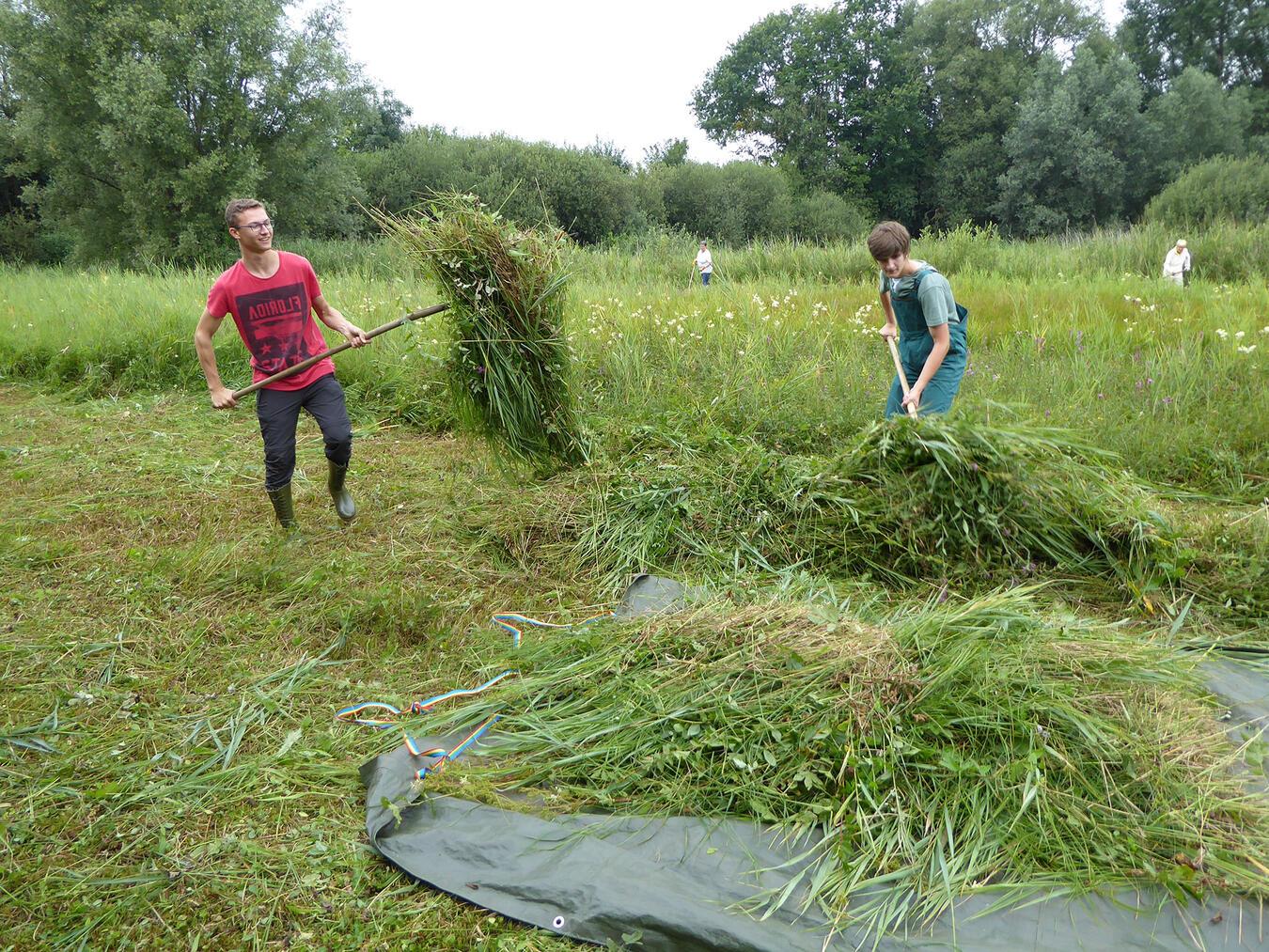 Bei der Arbeit: Die Orchideenwiesenmahd. Foto: Steffi Heese
