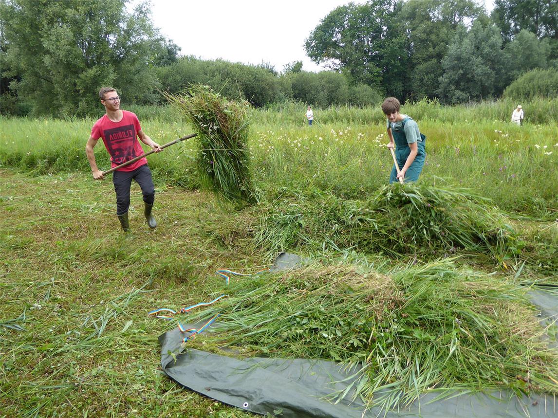 Bei der Arbeit: Die Orchideenwiesenmahd. Foto: Steffi Heese